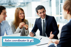 Sales coordinator là gì? Bản mô tả công việc Sales coordinator trong khách sạn