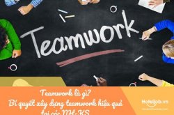 Teamwork là gì? Bí quyết xây dựng teamwork hiệu quả tại các NH-KS