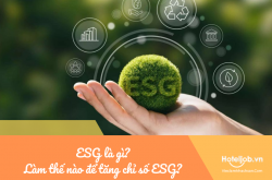 ESG là gì? Làm thế nào để tăng chỉ số ESG, tăng cạnh tranh thương hiệu?