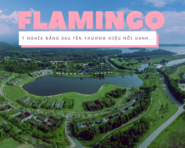 Tên "Flamingo" đến từ đâu?