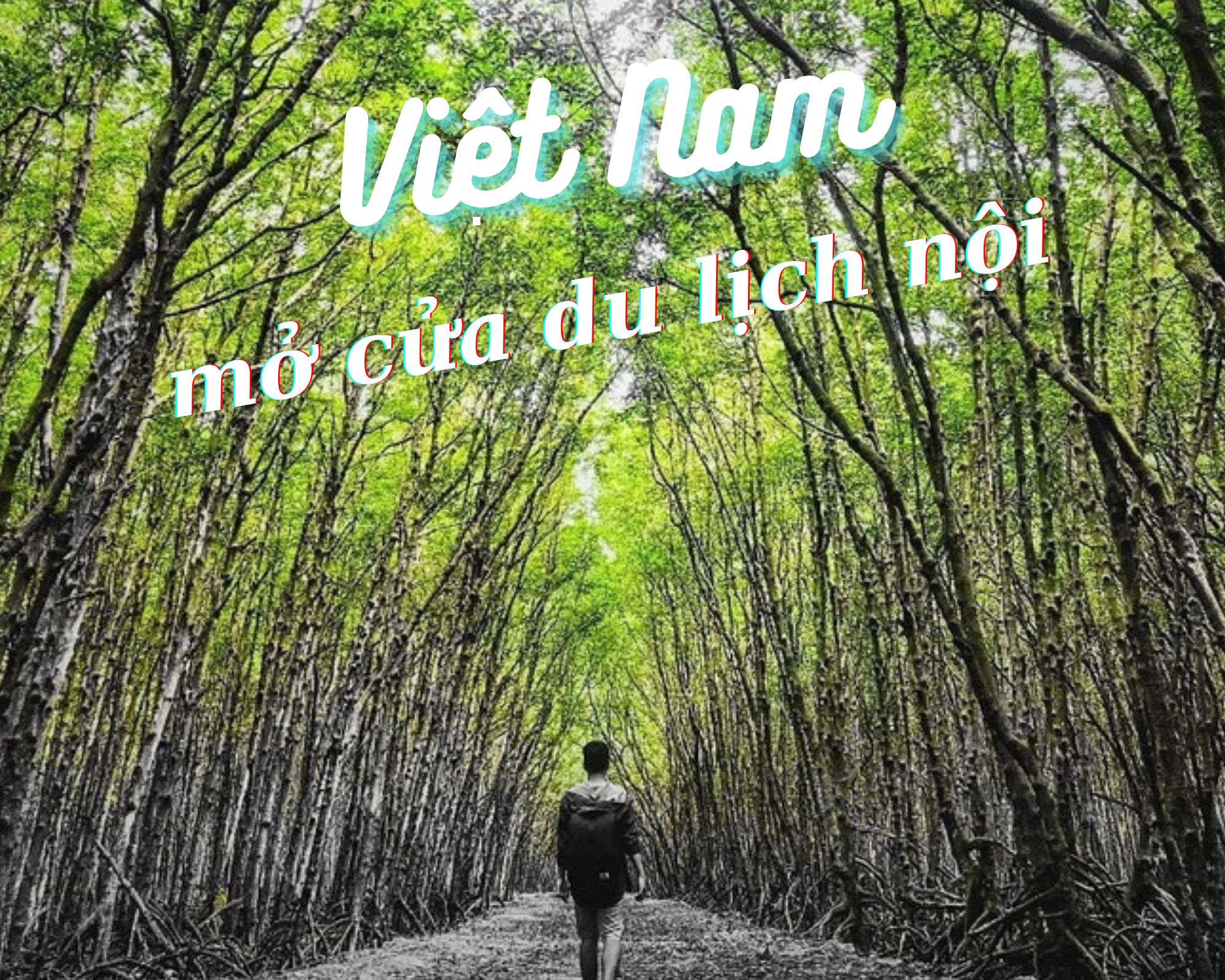 Không đợi Phú Quốc, Việt Nam "mở cửa du lịch" với tour nội đầu tiên