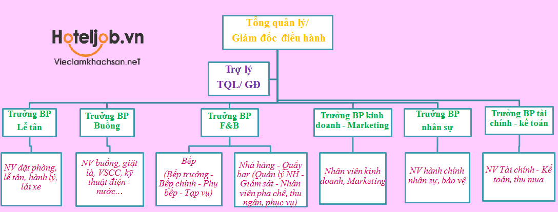 Tìm hiểu cơ cấu tổ chức của khách sạn 2  3 sao
