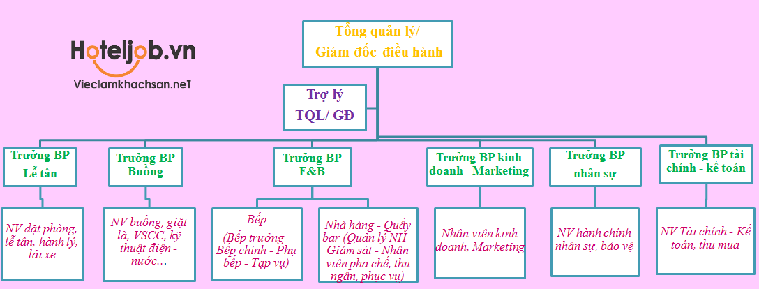 sơ đồ cơ cấu tổ chức khách sạn 3 sao