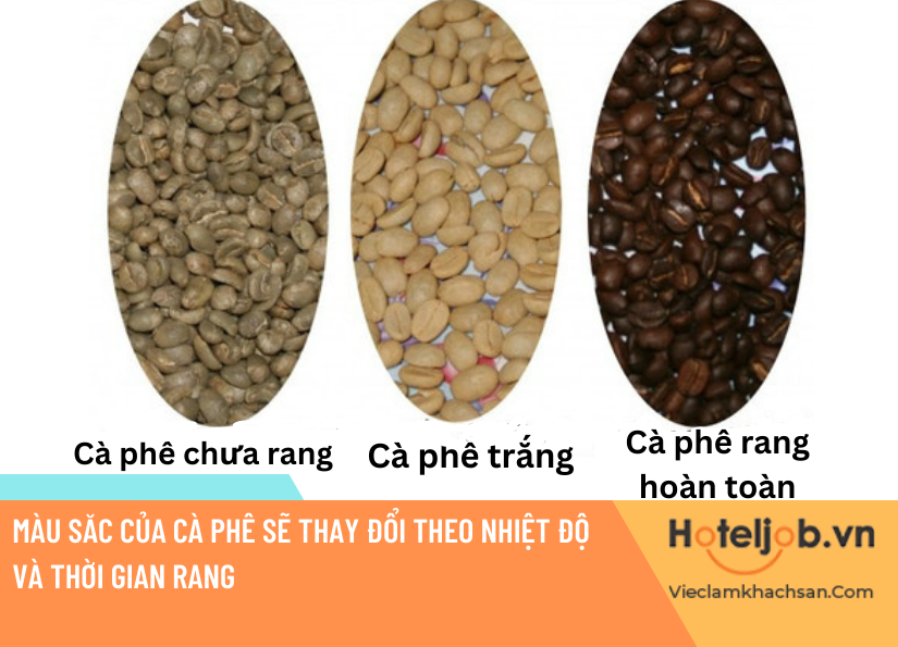 cà phê trắng là gì