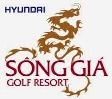 Công Ty TNHH Hyundai E&C Vina Sông Giá