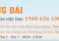 Tổng đài thông tin việc làm 1900 636 108