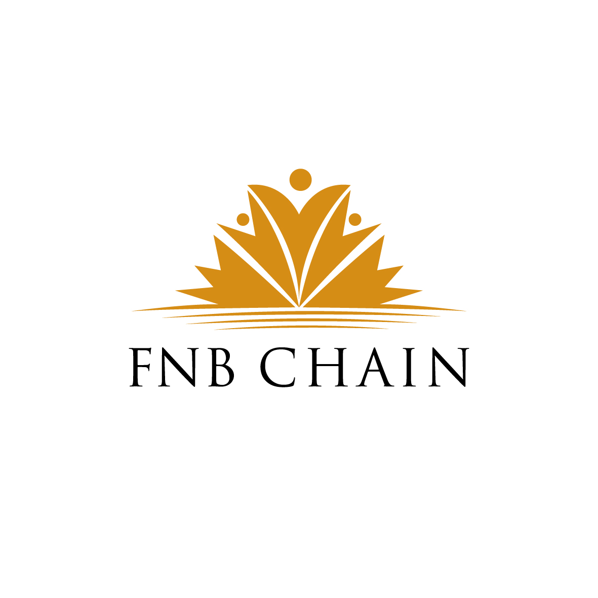 Công ty FNB Chain