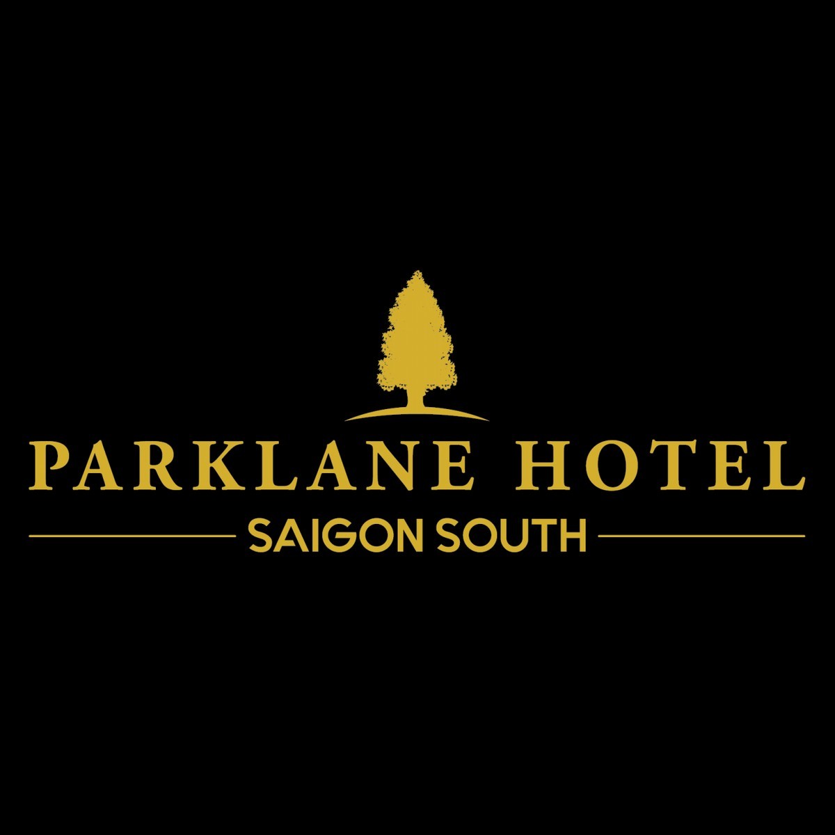 Parklane Hotel Saigon South