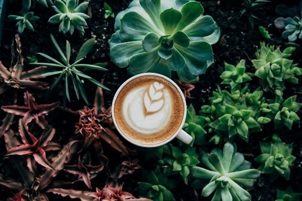 Cà Phê cốc Cafe Vẽ  cốc cà phê trắng png tải về  Miễn phí trong suốt Cà  Phê png Tải về