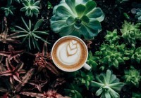 Latte Art là gì? 5 Tiêu chí vàng quyết định sự thành công của nghệ thuật Latte Art