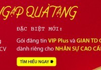 Mừng Tết Độc lập, nhận “đại tiệc” quà tặng từ Hoteljob.vn