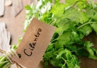 Cilantro là gì? 10+ công dụng không ngờ của Cilantro