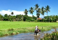 Bài học từ nông dân Hội An làm marketing du lịch