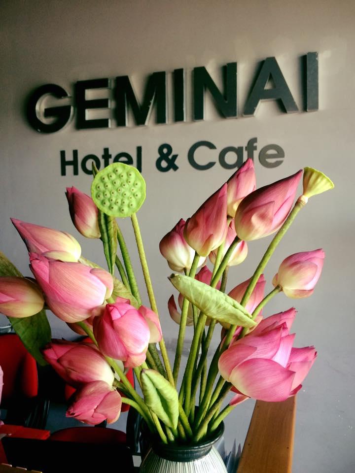 Khách sạn Geminai Hotel & Cafe
