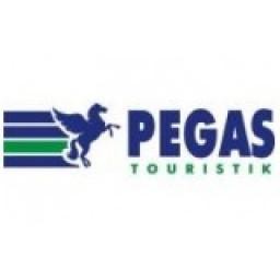 Công Ty TNHH Lữ Hành Pegas Misr Việt Nam