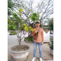 Nguyễn Hữu Hiếu