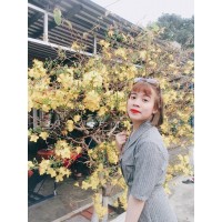 Nguyễn Thị Ngọc Thúy