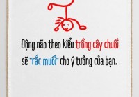 Mở nhà hàng theo kiểu “Tư duy trồng chuối”