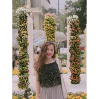 Song Minh