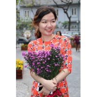 Vũ Thanh An