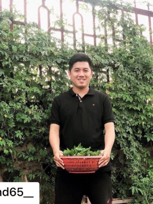Trần Thanh Tùng