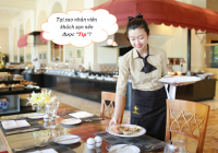 Tại sao nhân viên khách sạn luôn mong chờ những “khoản Tip” từ khách?