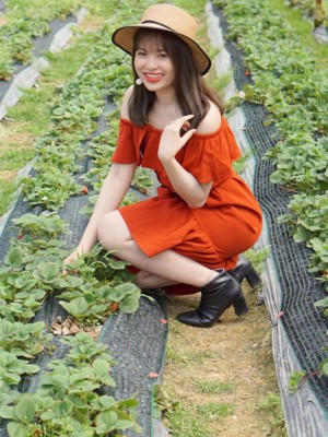 Lê Thị Diễm Phương