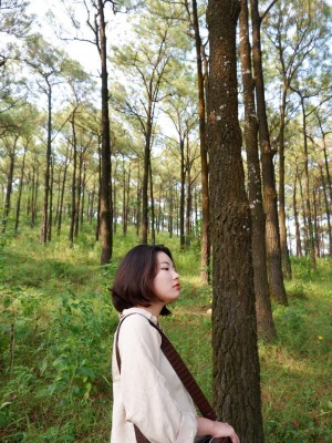 Phạm Mỹ Quyên