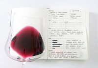 Tasting Notes là gì? Sommelier cần viết gì trong Tasting Notes?