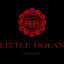 LITTLE HOIAN GROUP