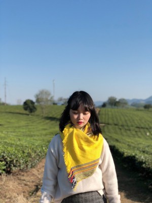 Vũ Việt Hà Trinhh