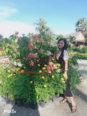 Trương Tú Trinh