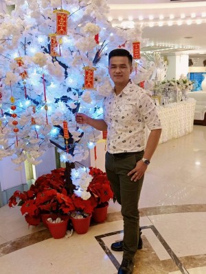 Ngô Minh Phi Triệu Long