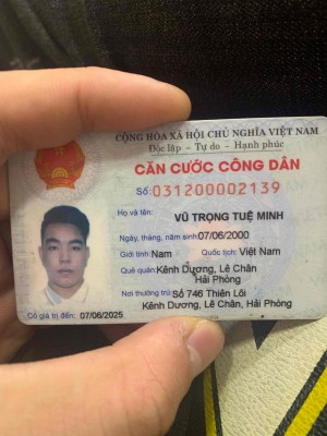 Vũ Trọng Tuệ Minh