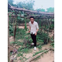 Phan Tấn Hậu