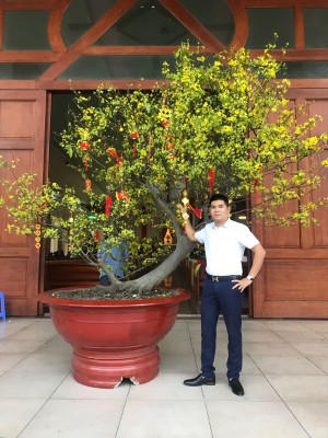 Phạm Cao Thượng