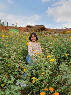 Loan Nguyen