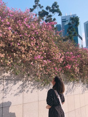 Lê Thị Thùy Linh