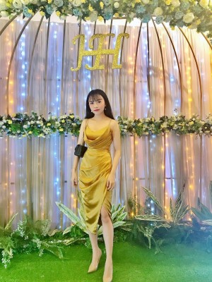 Nguyễn Hồng Anh