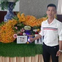 Tran Le