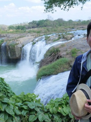 Trần Di Bảo
