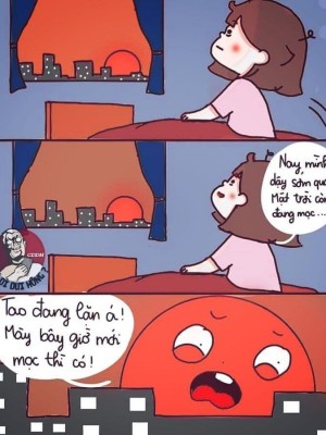 đâsd