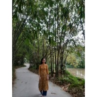 Lê Thị Vân Anh