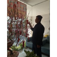 Kim Cao Tấn Phát