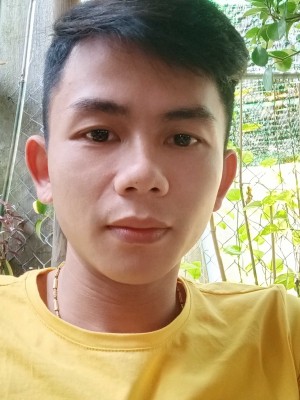 Trần Vũ