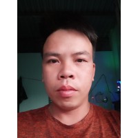 Vlogs LTM