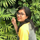Thuận Toàn Phan