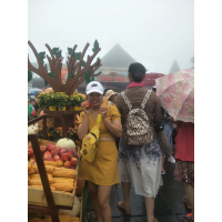 đặng Thị Hồng Vân