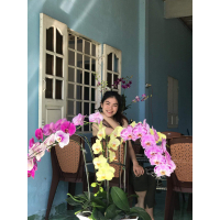 Nguyễn Thị Hương Diên