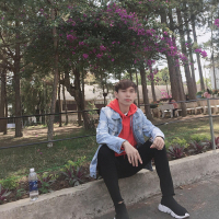 Diệp Hoàng Duy Anh